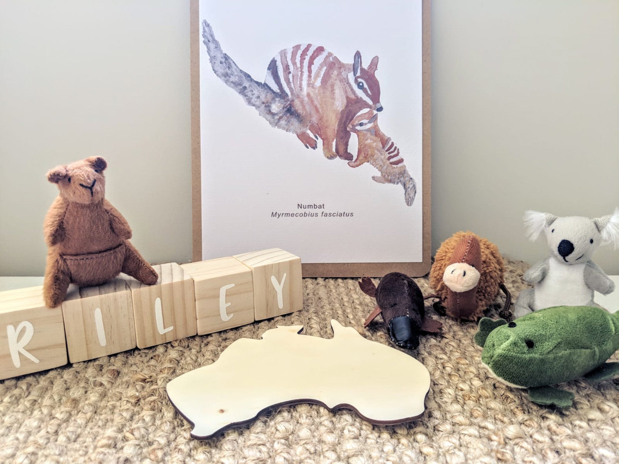 Marionetas de dedo de animales de terciopelo australiano (juego de 5)