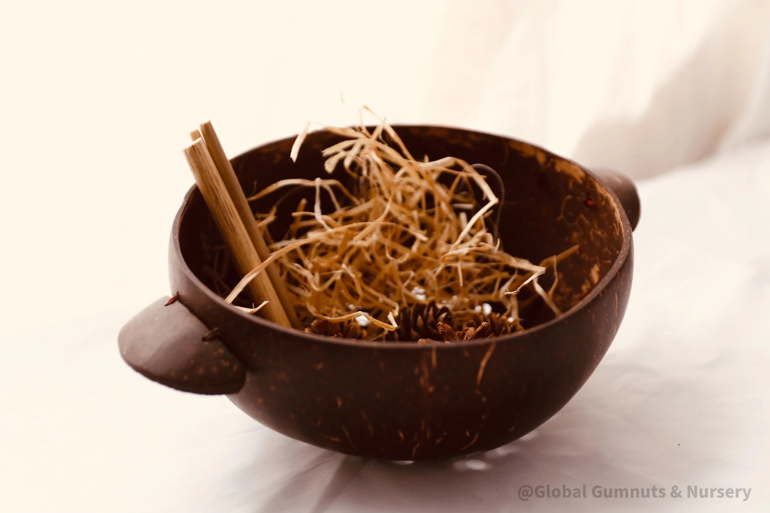 Bowl Water Scoop | Holes in a Bucket | Kids Colander | Mud Kitchen Tools | Coconut