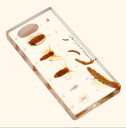 Resin Silkworm Lifecycle Kit