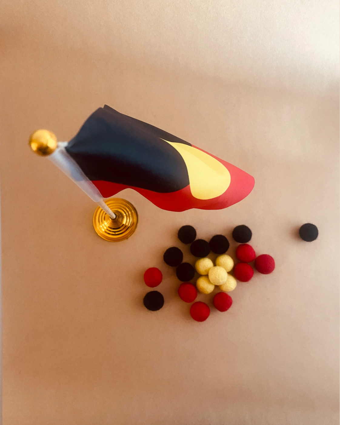 Indigenous Flag