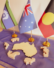 Indigenous Flag