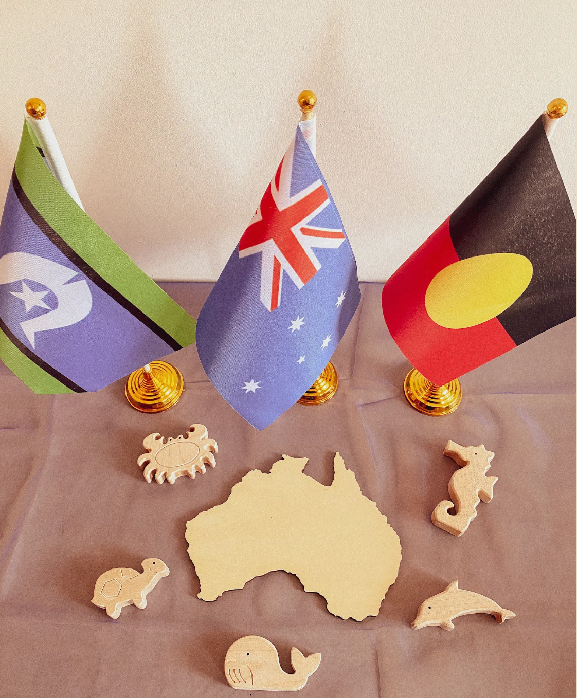Indigenous Flag