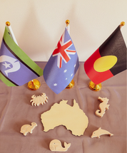 Indigenous Flag