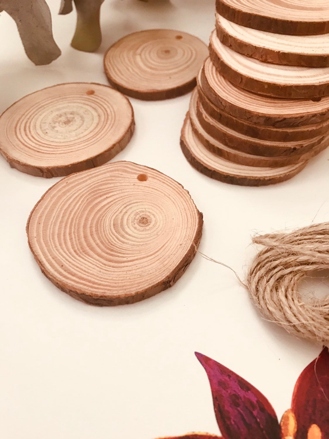 wood slices with drilled hole: natural wood slices with pre-drilled holes, great for crafts, ornaments, or rustic wedding decorations.