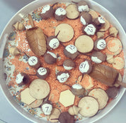 Gumnuts 1kg: Dried eucalyptus gumnuts for sensory play or botanical projects.