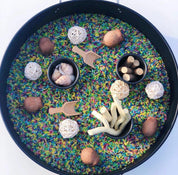 Gumnuts 1kg: Dried eucalyptus gumnuts for sensory play or botanical projects.