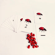 Ladybug-themed count cards, an engaging learning resource for numeracy and insect exploration.