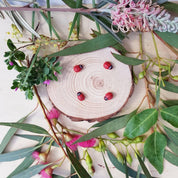 Wooden Ladybirds | Ladybugs with sticker