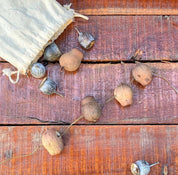 Gumnuts 1kg: Dried eucalyptus gumnuts for sensory play or botanical projects.