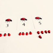 Ladybug-themed count cards, an engaging learning resource for numeracy and insect exploration.
