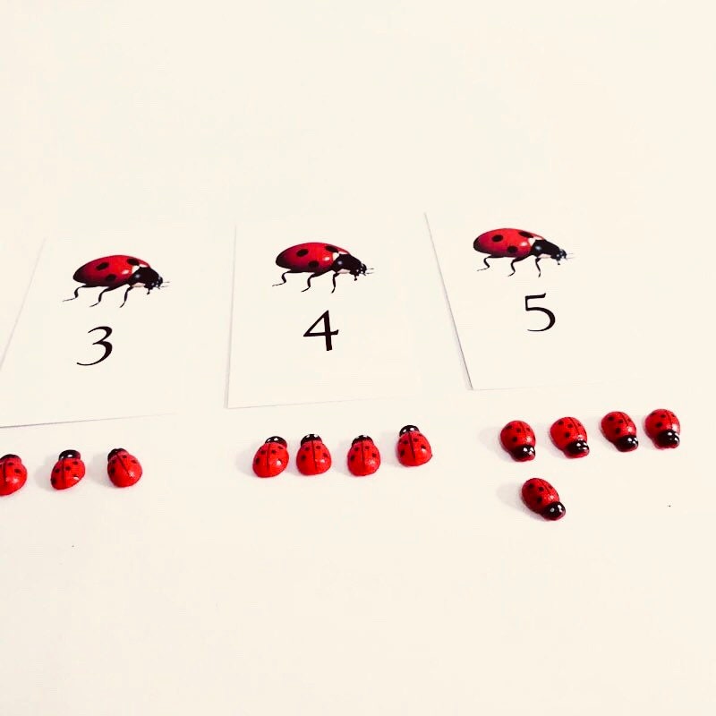 Ladybug-themed count cards, an engaging learning resource for numeracy and insect exploration.