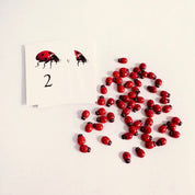 Ladybug-themed count cards, an engaging learning resource for numeracy and insect exploration.