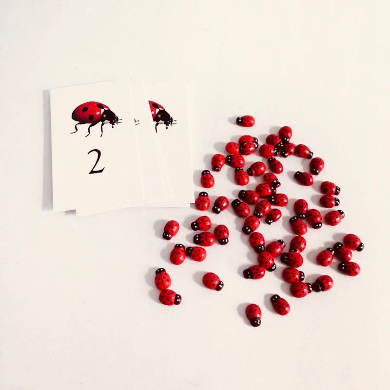 Ladybug-themed count cards, an engaging learning resource for numeracy and insect exploration.
