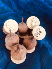 Mermaid Set Gumnut Stamps: Seven-piece mermaid-themed nature stamp set.