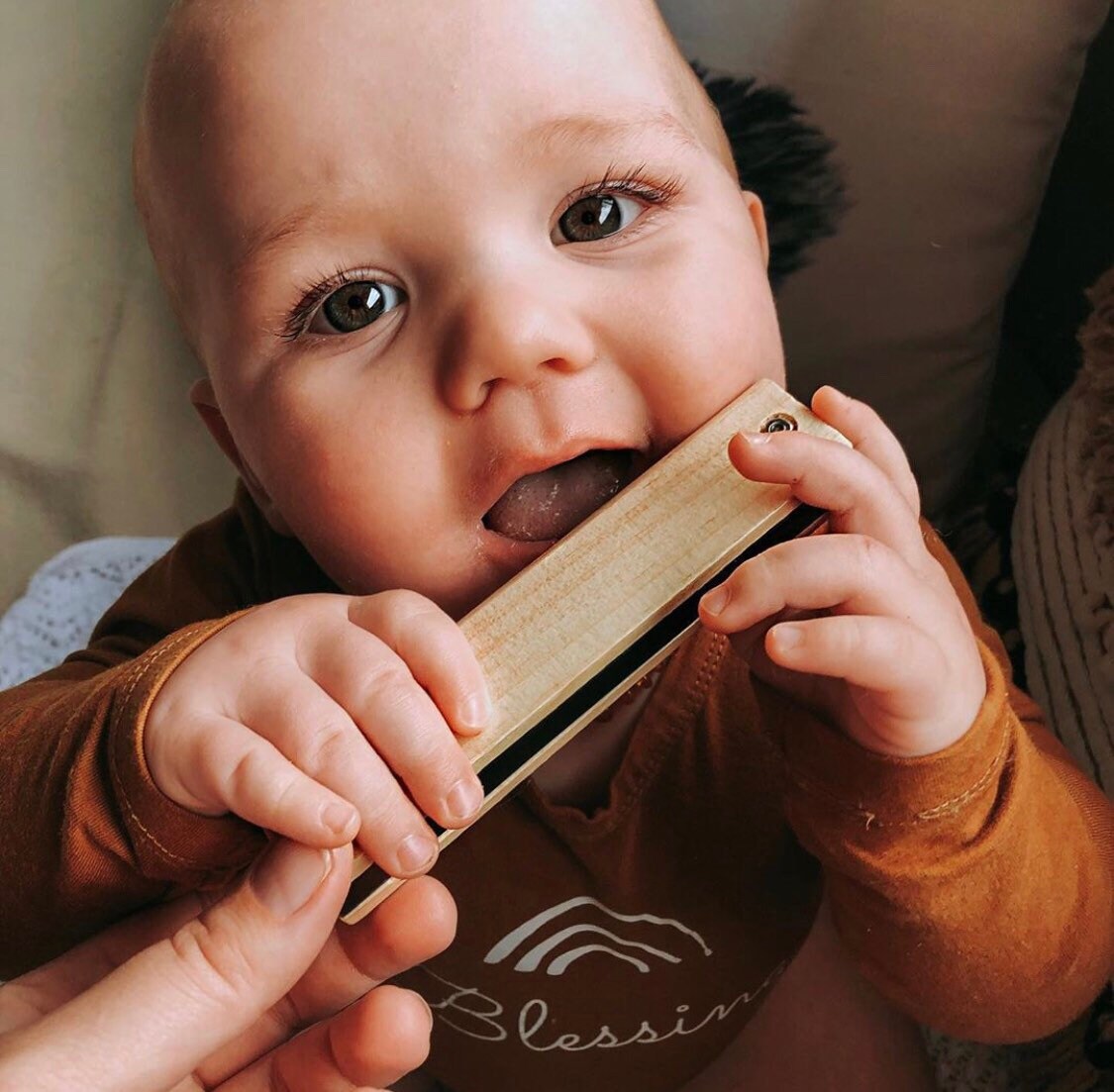 Mr. Harmonica, a delightful wooden musical instrument for kids.