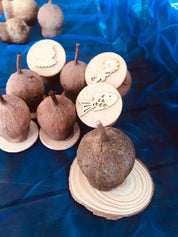 Mermaid Set Gumnut Stamps: Seven-piece mermaid-themed nature stamp set.