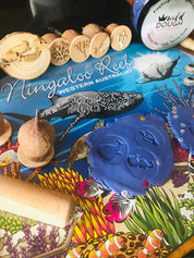 Mermaid Set Gumnut Stamps: Seven-piece mermaid-themed nature stamp set.