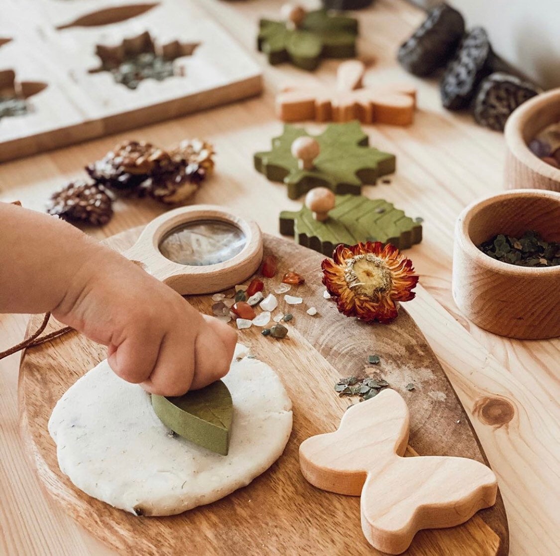 wooden insects set: five-piece set of dragonfly, beetle, and butterfly wooden figures for imaginative play.