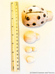 Handmade wooden ladybugs, perfect for decorating, learning, or bug-themed crafts.