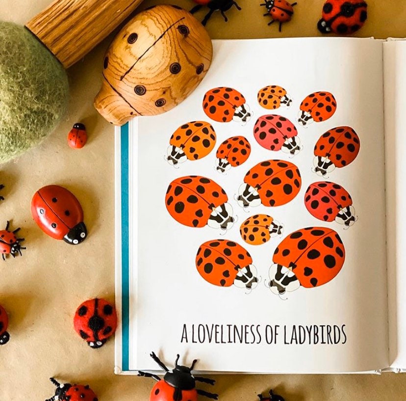 Handmade wooden ladybugs, perfect for decorating, learning, or bug-themed crafts.