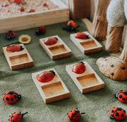 Handmade wooden ladybugs, perfect for decorating, learning, or bug-themed crafts.