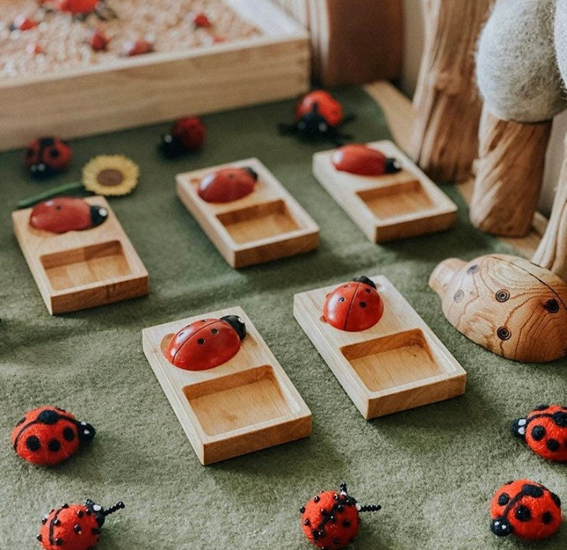 Handmade wooden ladybugs, perfect for decorating, learning, or bug-themed crafts.