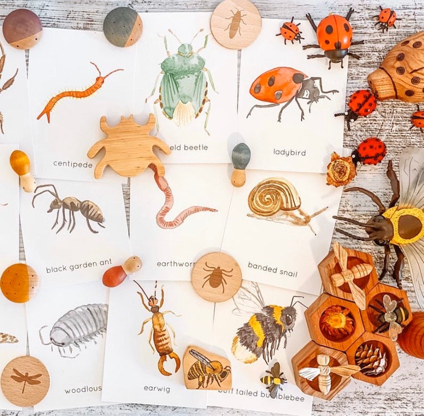 wooden insects set: five-piece set of dragonfly, beetle, and butterfly wooden figures for imaginative play.
