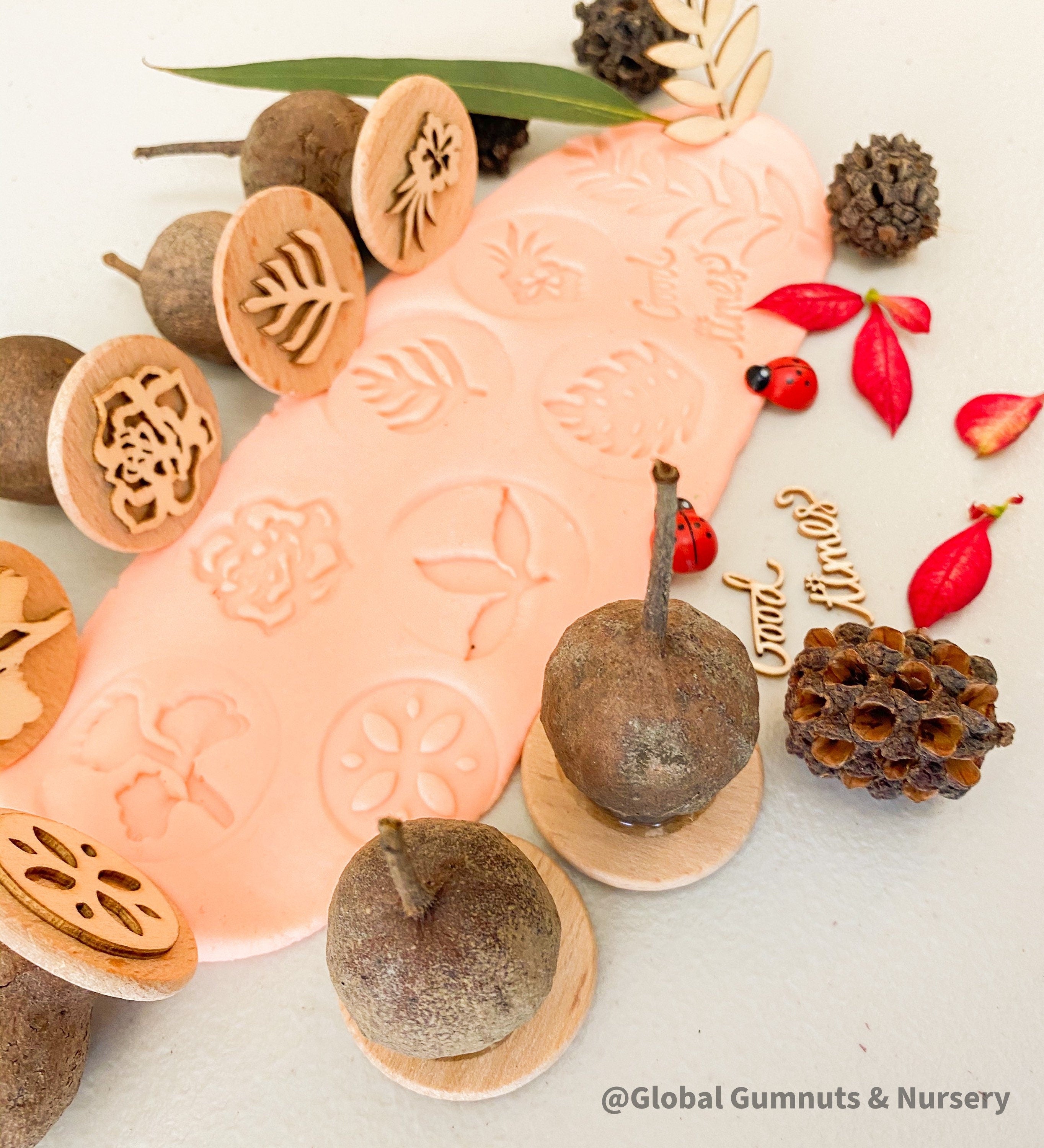Floral Bliss Stamps: Gumnut stamp set with seven floral-themed stamps.