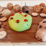 Wooden Ladybirds | Ladybugs with sticker