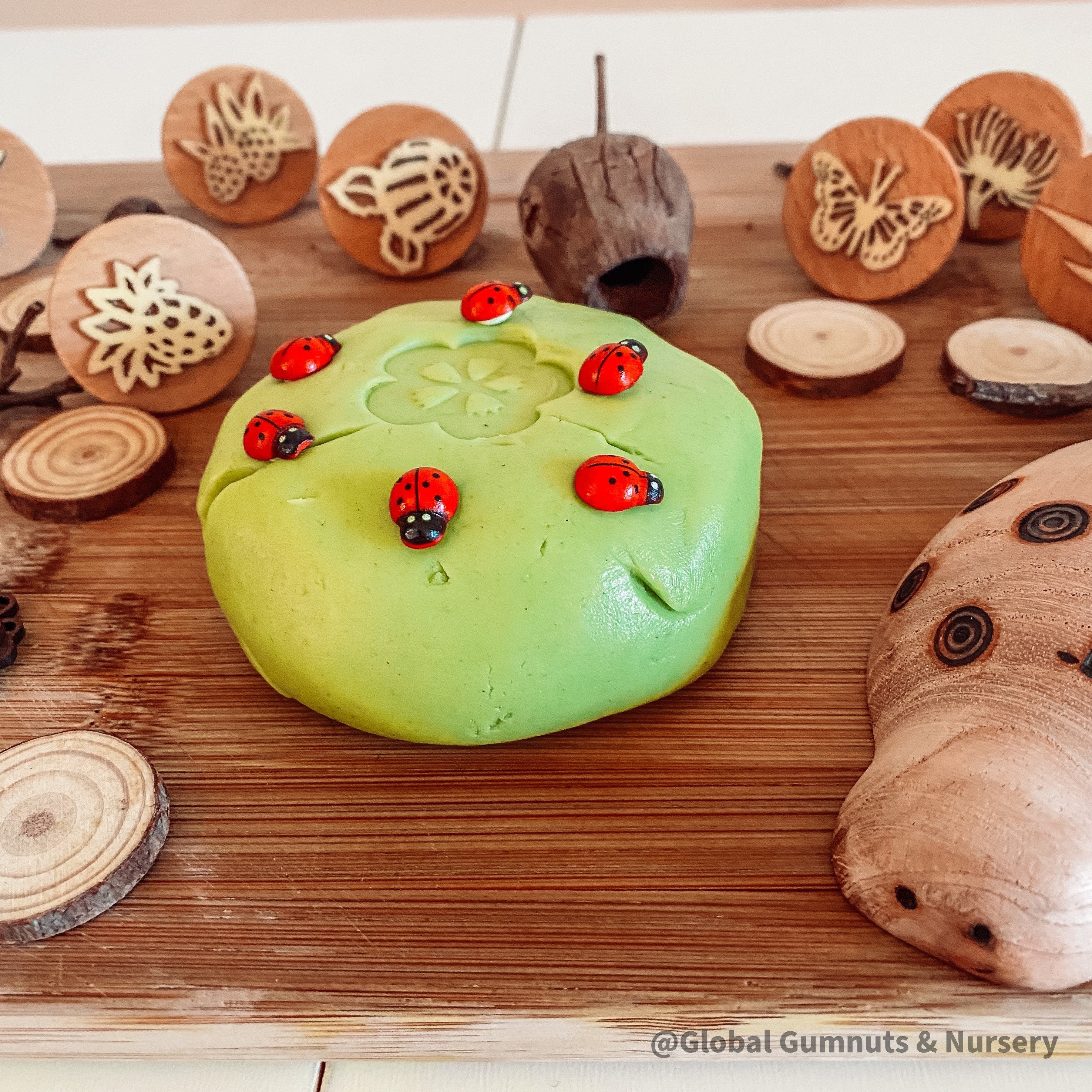 Wooden Ladybirds | Ladybugs with sticker