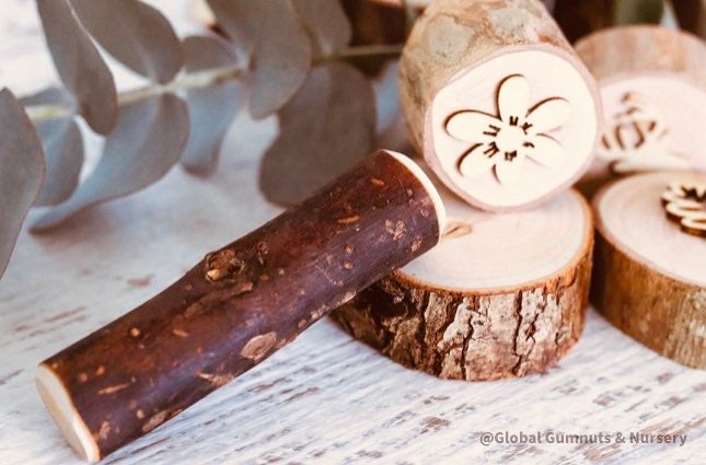 Rolling Pin Tree Branch: Natural wooden rolling pin ideal for play dough and sensory activities.