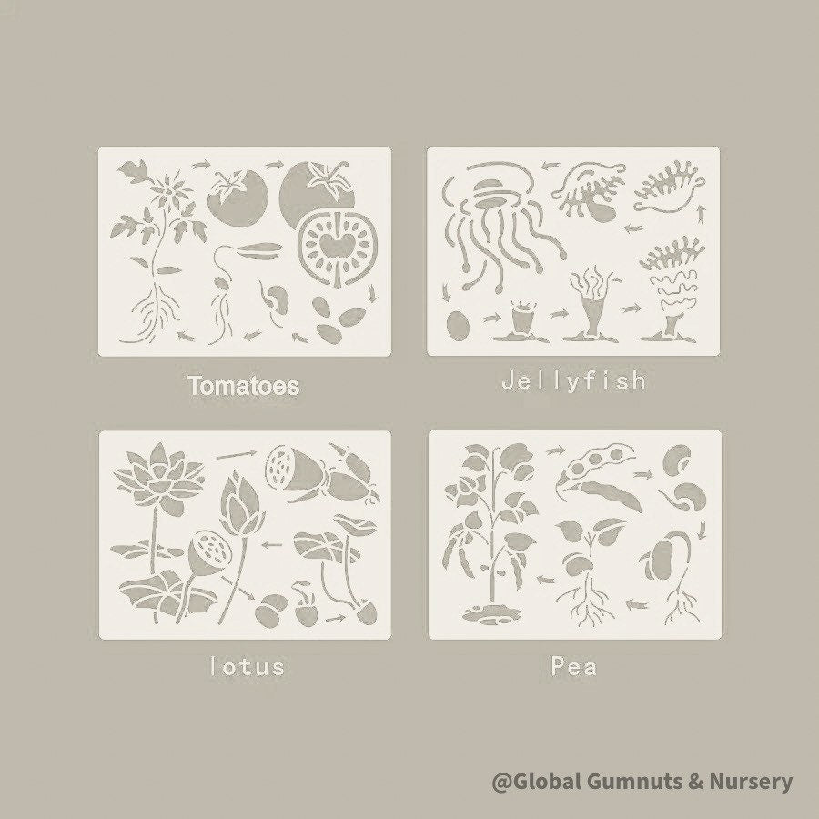 Life cycle stencils, educational tools for illustrating and teaching nature’s cycles.