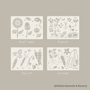 Life cycle stencils, educational tools for illustrating and teaching nature’s cycles.