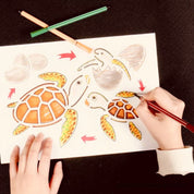 Life cycle stencils, educational tools for illustrating and teaching nature’s cycles.