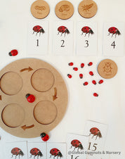Ladybug Life Cycle Set: Wooden display with board and discs illustrating the life cycle of a ladybird.