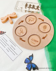 Frog Life Cycle Set: Wooden board with discs showing the frog’s life cycle.