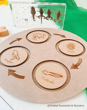 Frog Life Cycle Set: Wooden board with discs showing the frog’s life cycle.