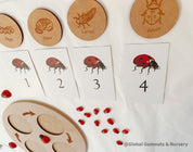 Ladybug Life Cycle Set: Wooden display with board and discs illustrating the life cycle of a ladybird.