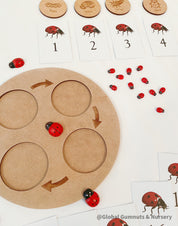 Ladybug Life Cycle Set: Wooden display with board and discs illustrating the life cycle of a ladybird.