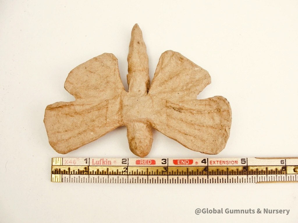 Paper mache butterfly, a versatile decor or crafting accessory.