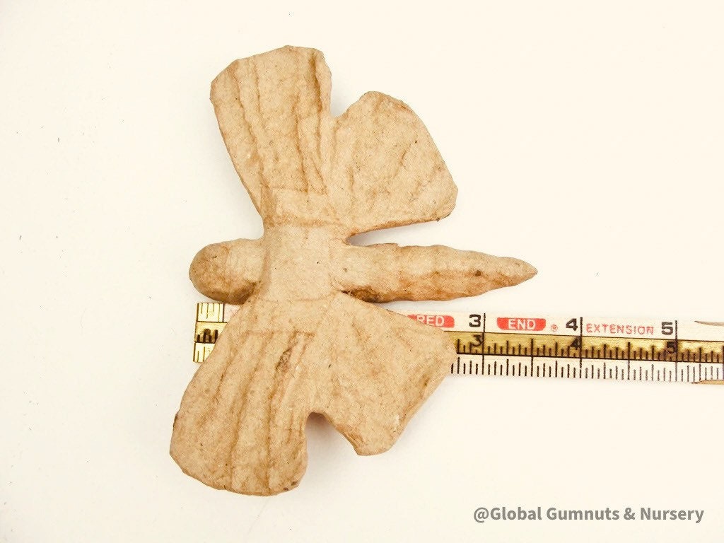 Paper mache butterfly, a versatile decor or crafting accessory.