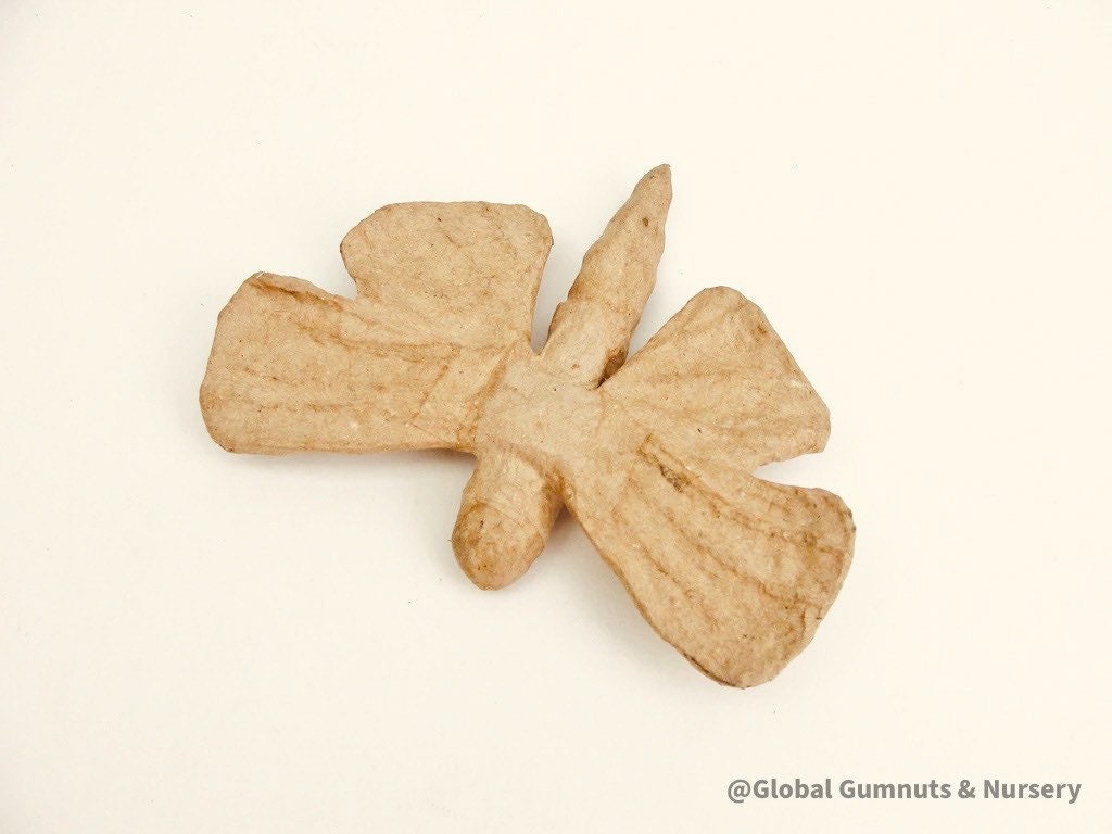 Paper mache butterfly, a versatile decor or crafting accessory.