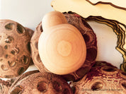 Plain handmade wooden beetles, perfect for creative play, bug-themed crafts, or natural exploration.