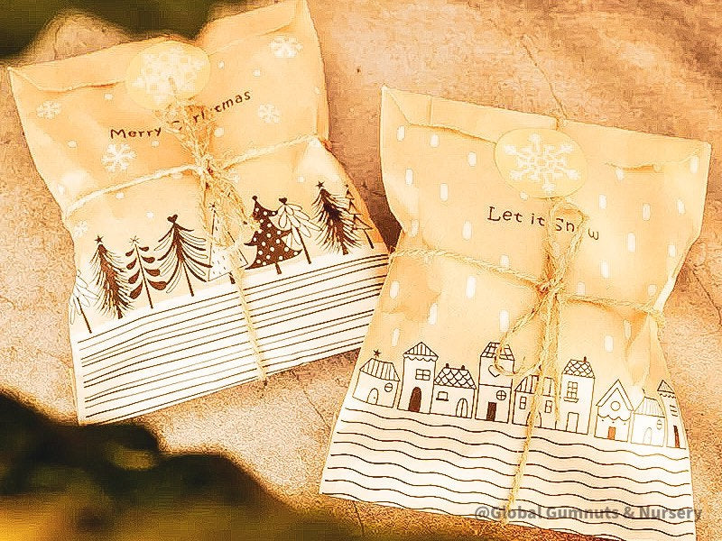 Paper ADVENT Calendar Set: 24-piece DIY advent calendar for festive countdowns.