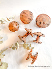 Banksia Mushrooms: Handmade decor inspired by banksia trees or mushrooms.