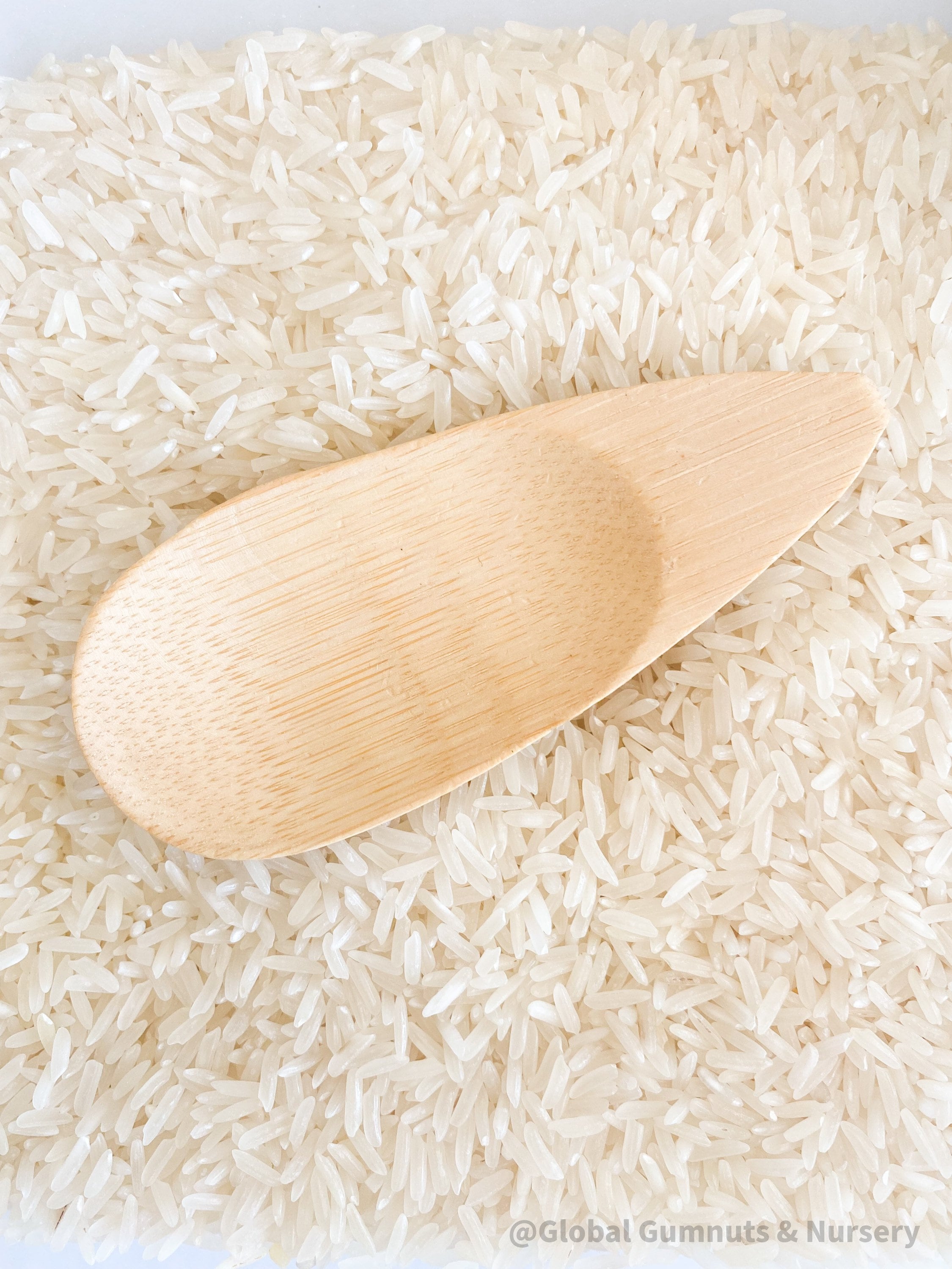 Flat rounded wooden scooper, a child-sized tool for small-world play or natural exploration.