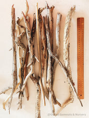 Natural driftwood pieces, versatile for crafts, decor, or beach-themed designs.