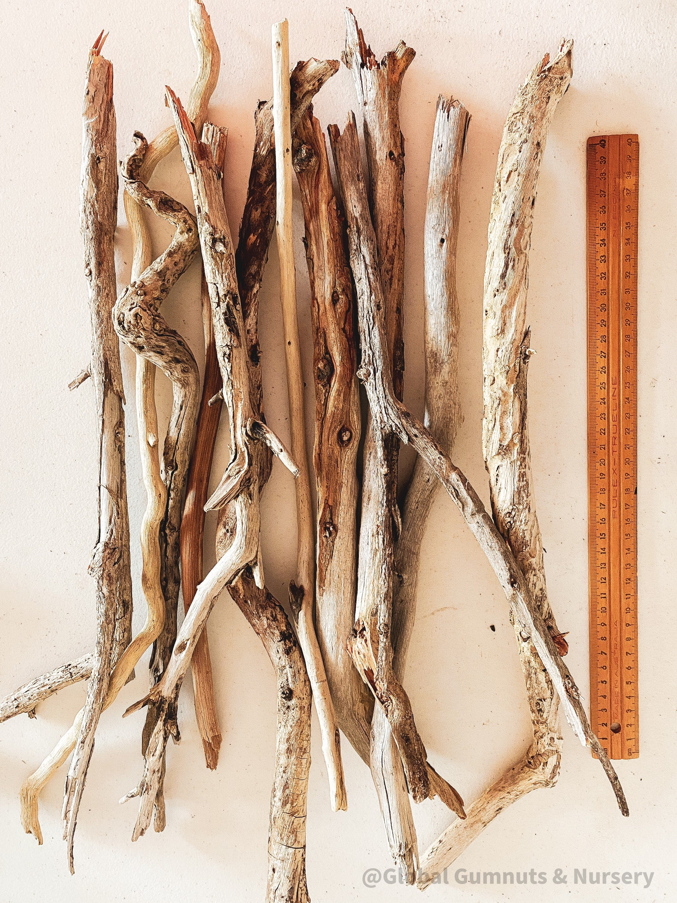 Natural driftwood pieces, versatile for crafts, decor, or beach-themed designs.