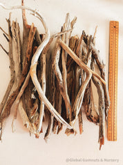 Natural driftwood pieces, versatile for crafts, decor, or beach-themed designs.