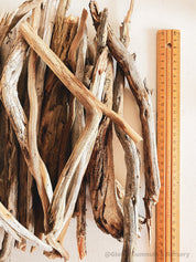 Natural driftwood pieces, versatile for crafts, decor, or beach-themed designs.